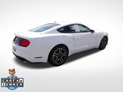 2021 Ford Mustang EcoBoost
