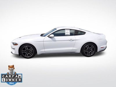2021 Ford Mustang EcoBoost