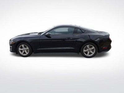 2023 Ford Mustang EcoBoost