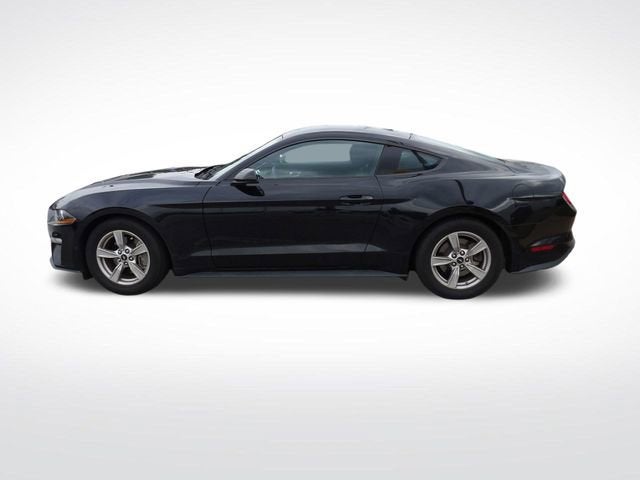 2023 Ford Mustang EcoBoost