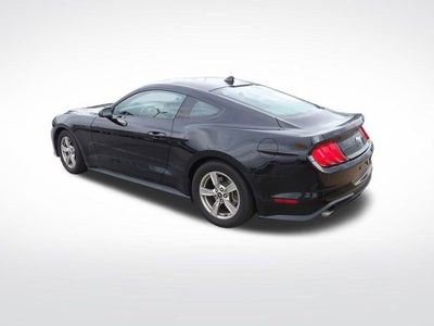 2023 Ford Mustang EcoBoost