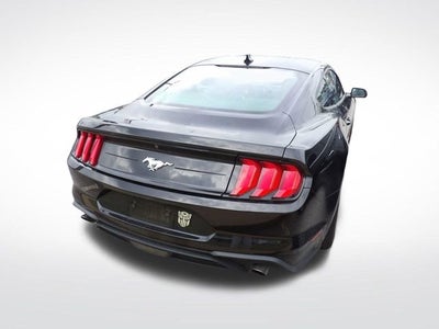 2023 Ford Mustang EcoBoost