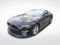 2023 Ford Mustang EcoBoost