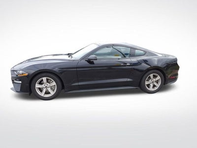 2023 Ford Mustang EcoBoost