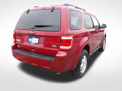 2011 Ford Escape XLT