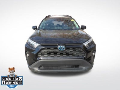 2024 Toyota RAV4 Hybrid Hybrid Woodland