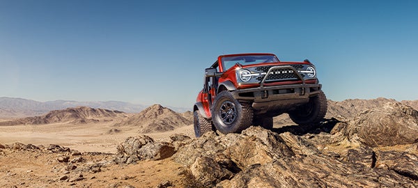 Custom Order Your New Ford & Save Big